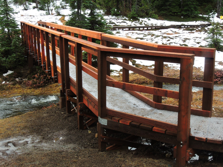 New foot bridge at Paradise Meadows, Strathcona Provincial Park